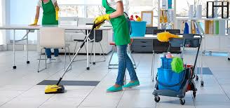 Cleaning 3