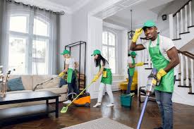  Regular House Cleaning