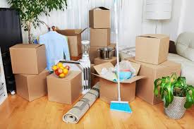 Move-In/Out Cleaning